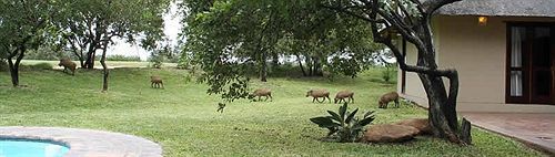 Leriba Golf Lodge Phalaborwa Ngoại thất bức ảnh